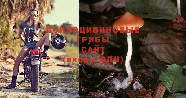2c-b Дмитров