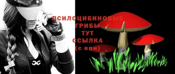 2c-b Дмитров