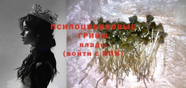 таблы Дмитриев