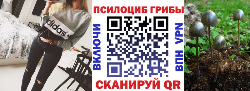 Галлюциногенные грибы Psilocybine cubensis  ссылка на мегу ТОР  Колпашево 