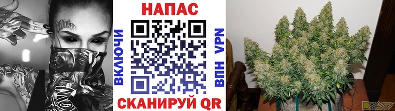наркотики  даркнет наркотические препараты  KRAKEN маркетплейс  Канабис планчик  Колпашево 